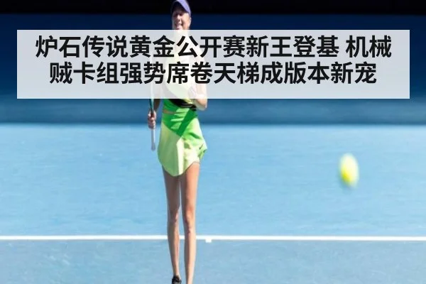炉石传说黄金公开赛新王登基 机械贼卡组强势席卷天梯成版本新宠