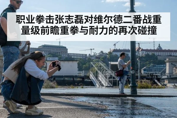职业拳击张志磊对维尔德二番战重量级前瞻重拳与耐力的再次碰撞